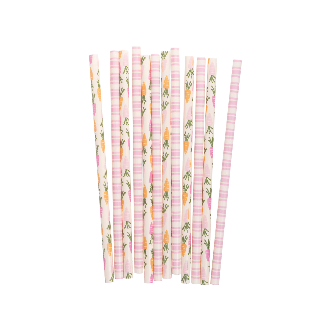 CARROTS AND STRIPES REUSABLE STRAWS
