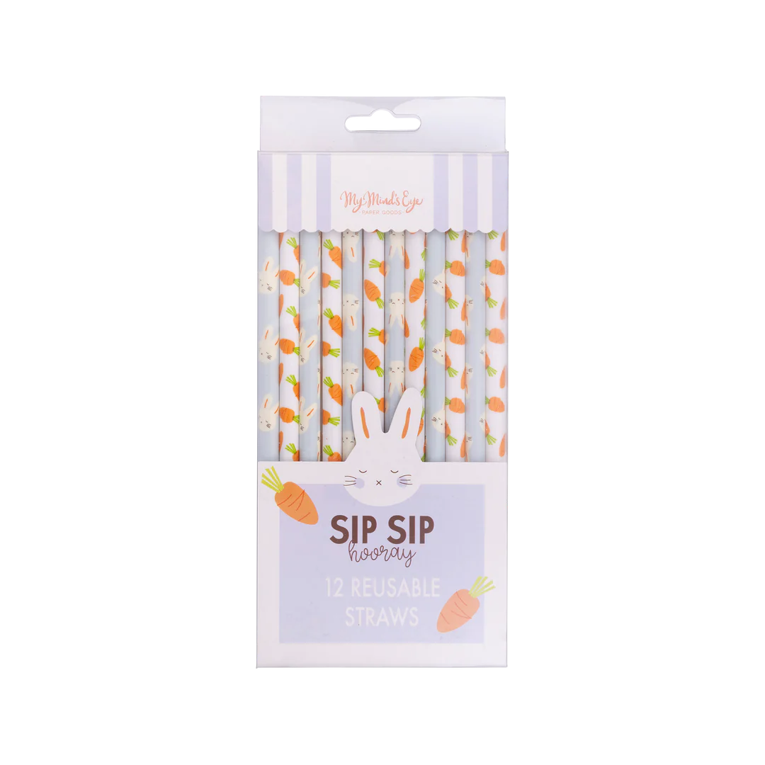 BUNNY/CARROT REUSABLE STRAWS