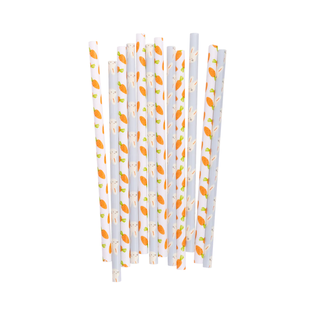 BUNNY/CARROT REUSABLE STRAWS